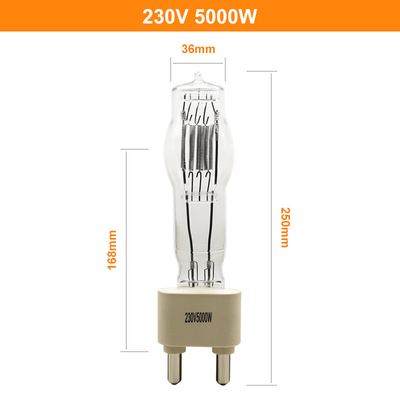 230V 5000W G38 스튜디오 석영광 전구 어선 할로겐 램프 180 밀리미터 125000lm