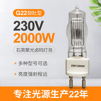 230v 2000w G22 램프 단일단 형태 할로겐 광 전구 3200k 300Hours