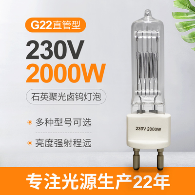 230v 2000w G22 쿼츠 할로겐 전구 양성 핀 할로겐 램프 방폭