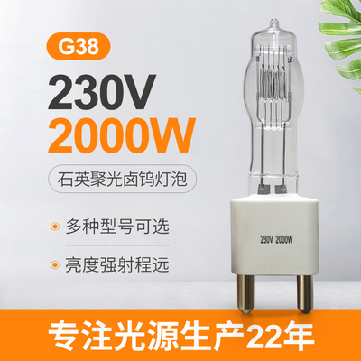 230v 고전압 할로겐 램프 2000 와트 전구 G38 단일은 끝났습니다