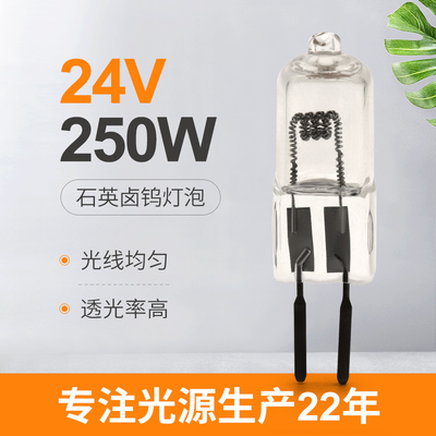 24v 150w 250W 수정 아이오딘 램프 루멘 높은 외과적 텅스텐 할로겐 프로젝터 램프