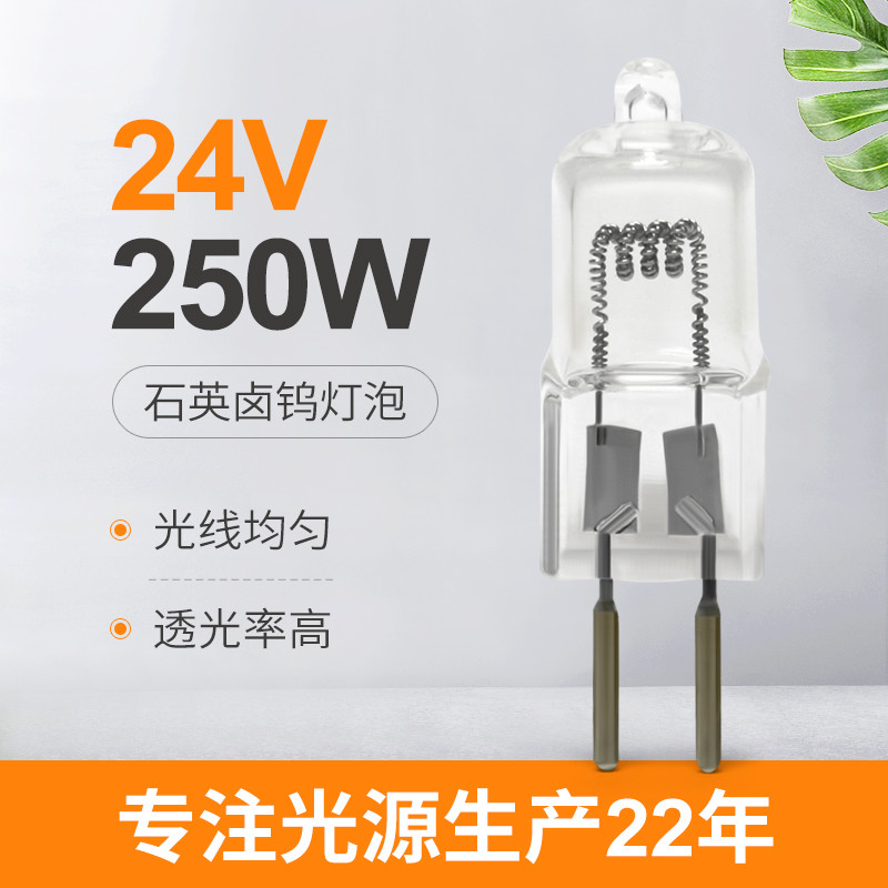 24v 250w 할로겐 전구는 섀도레스스 교체 비즈 크리스탈 램프 수술을 이끌었습니다