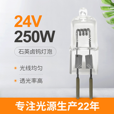 24v 250w 할로겐 전구는 섀도레스스 교체 비즈 크리스탈 램프 수술을 이끌었습니다