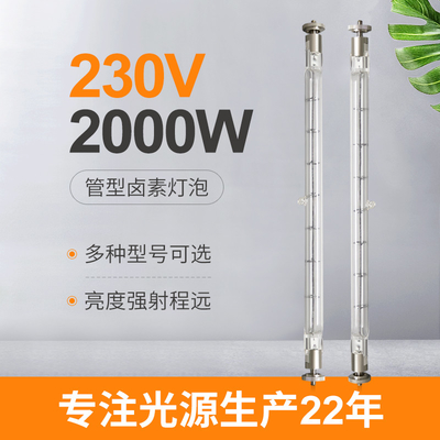 230V 2000W 텅스텐 두배는 선 할로겐 램프 상업적 215 밀리미터 리드를 마쳤습니다