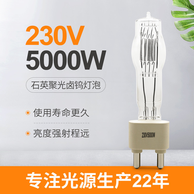 230V 5000W G38 무대 수정 램프 전구 스튜디오 엔터테인먼트 결혼 바